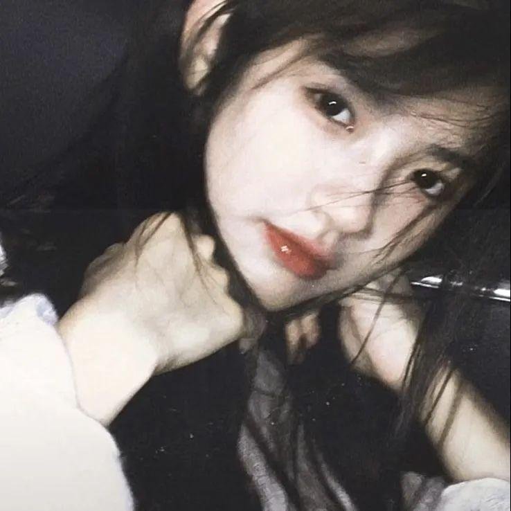 暗礁狂鲨